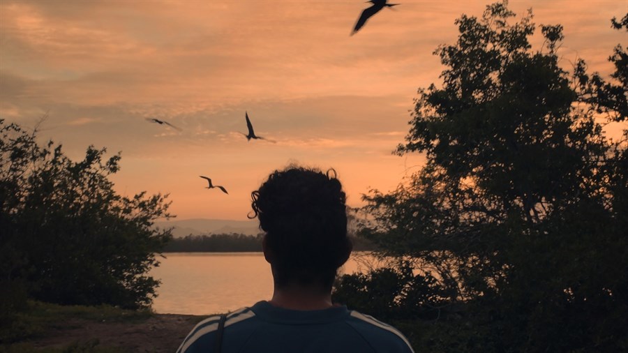 Things we dare not do