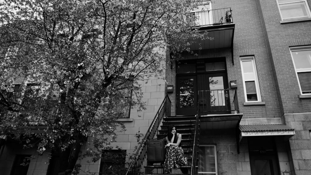 Impermanence... a dandelion.