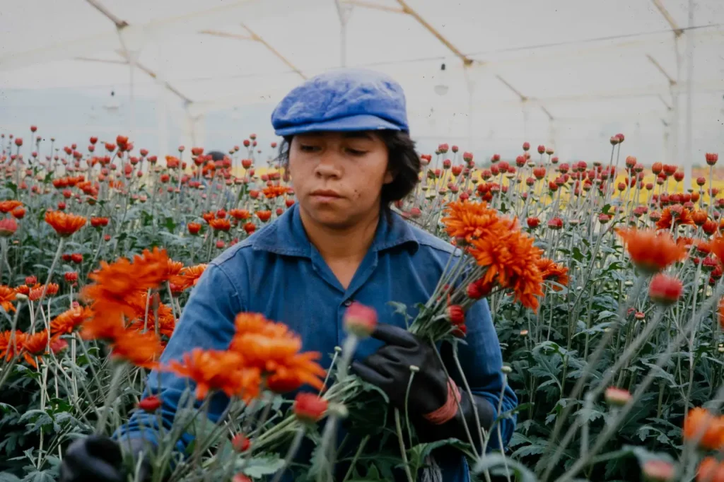 LOVE, WOMEN AND FLOWERS.